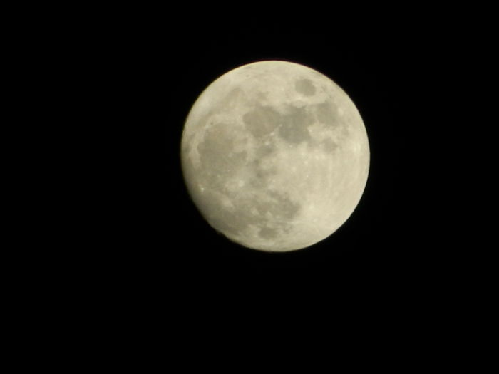DSCN7313 - 2016 CERUL