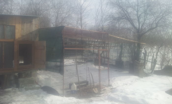 20160127_133135 - voiajori germani