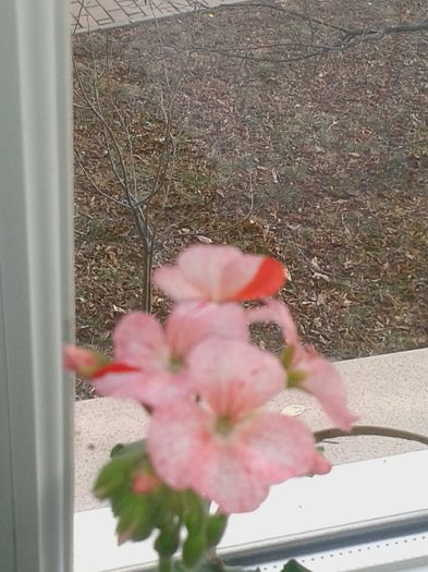 20160127_132042