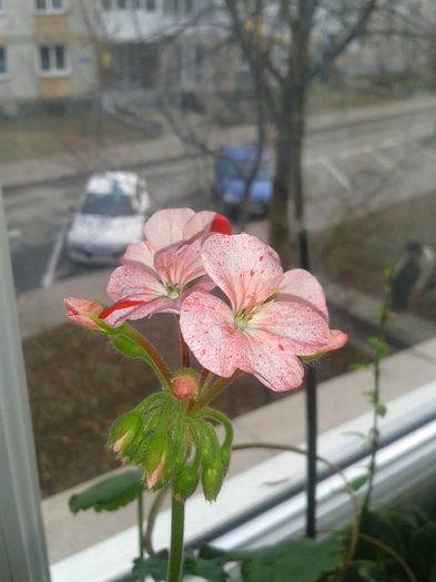 20160127_132051