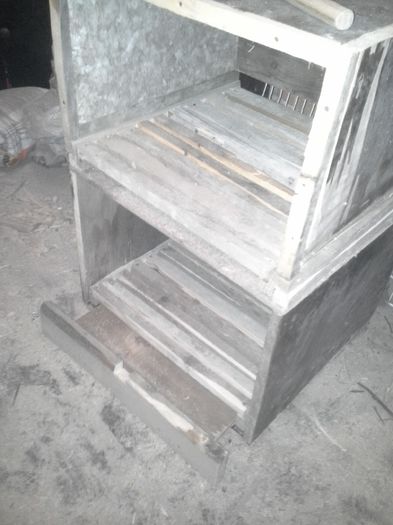 Urmeaza fata la ele %u015Fi sunt gata - VOLIERA MEA MODESTA