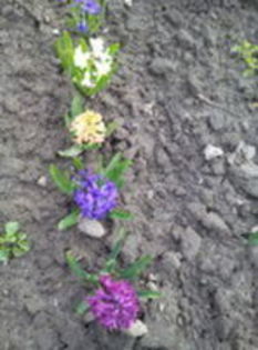 105438722_BITMYHH - Primavara 2015