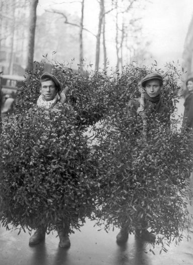 vinzatori de visc-Paris1928 - poze_vechi