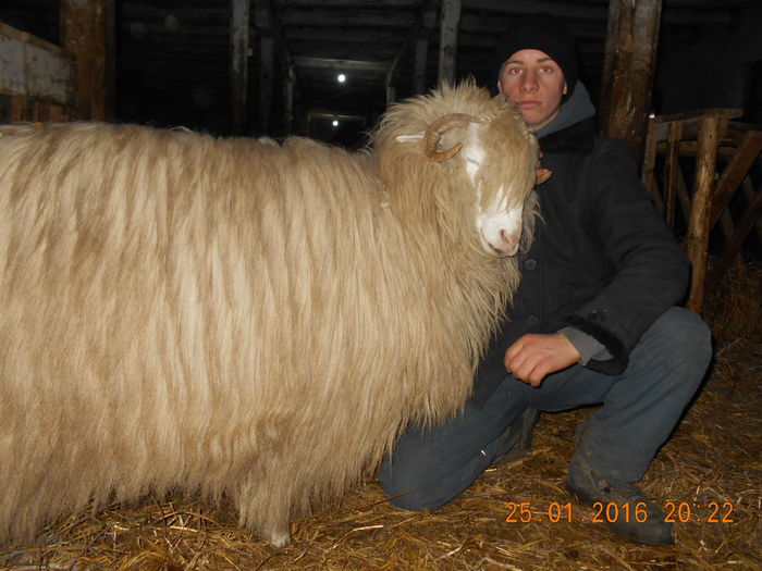 Picture 066 - Balele 2016-2017