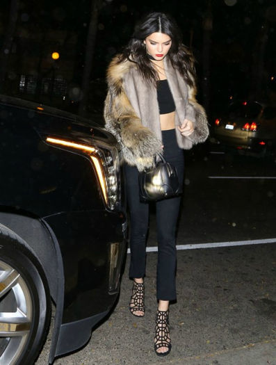 tumblr_o1g28gwyr11umqfb2o1_500 - kendall jenner