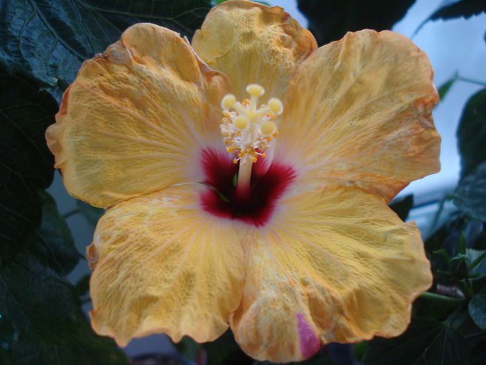 DSC04503