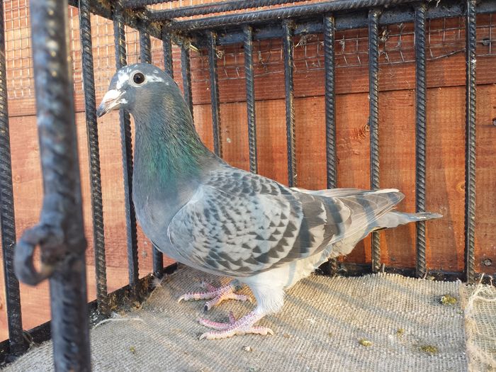 20160122_162503 - E-Amintiri