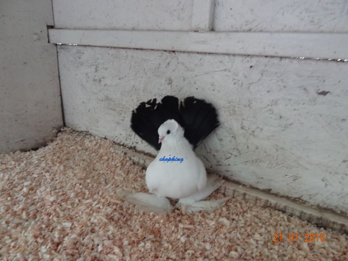 DSC01401
