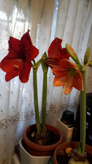 20160129_095054