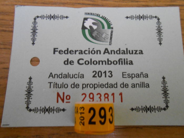 ANDALUCIA  SPANA  2013  1 buc