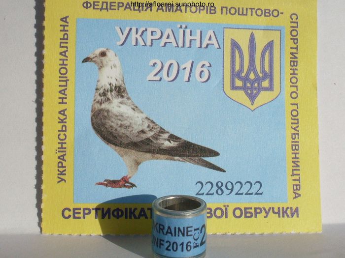 ukraine unf 2016 - UKRAINA-UKR