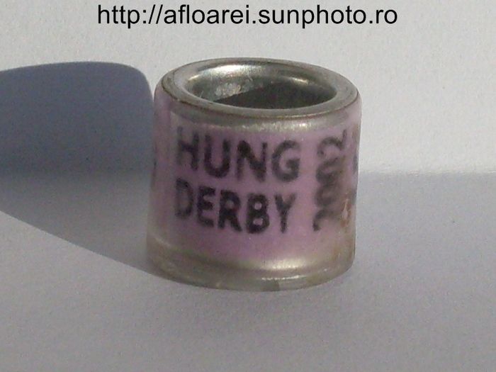 hung derby 2002