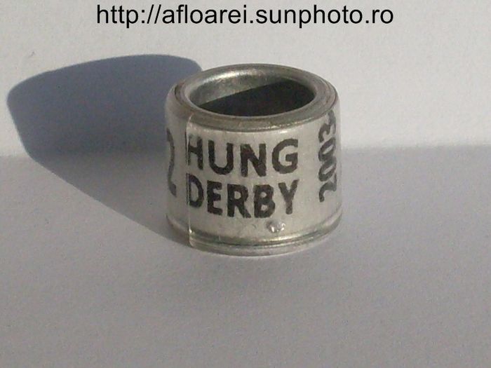 hung derby 2003 - DERBY