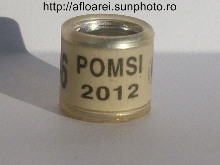 pomsi 2012