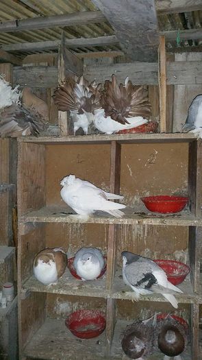 12633071_566342586875318_747033504_o (1)