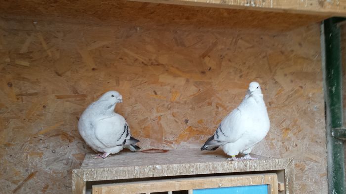 M-2011-10&F-2011-2846