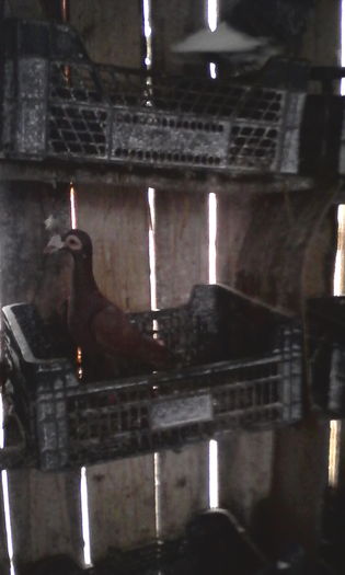 IMG_20160131_110129; 2015
