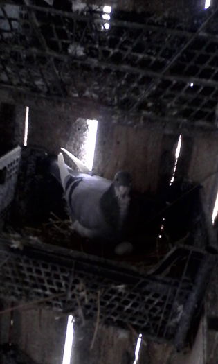 IMG_20160131_105312; F 2011
