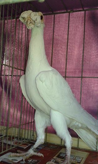 702908_1076091825756338_1540423845_n (1)