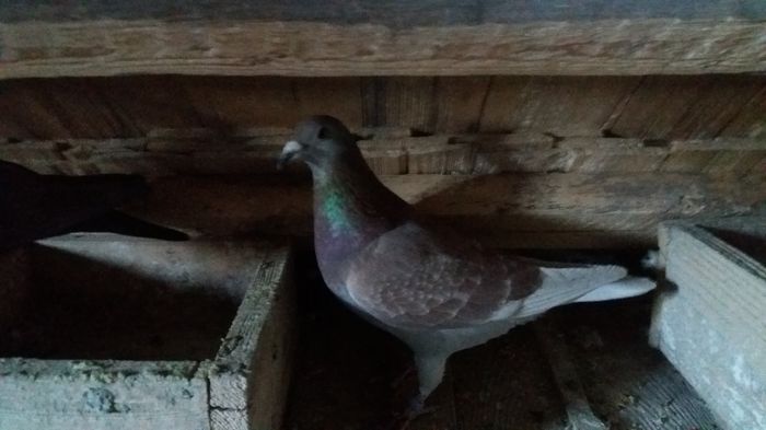 20160108_160535 - lot zbor