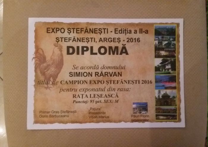 . - Expo Stefanesti 2016