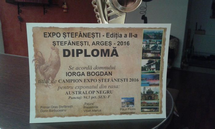 20160131_183120 - EXPO STEFANESTI EDITIA II