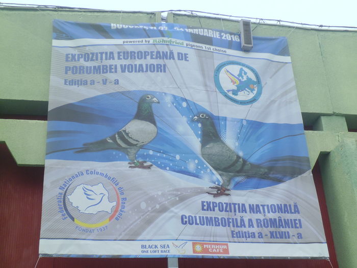 Romexpo 2016 067