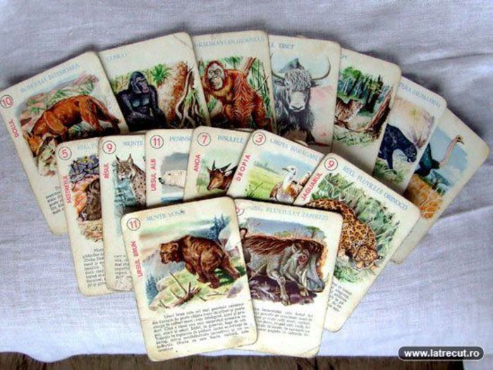 joc cu animale - Amintiri dinainte de 1989-1