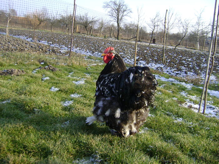 DSC04551 - 36-MATCA 2016