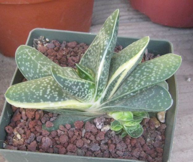 c59a0b105279a0a1ceba64bb9200fb60