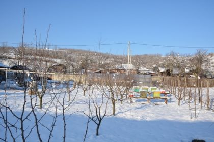 DSC_0465