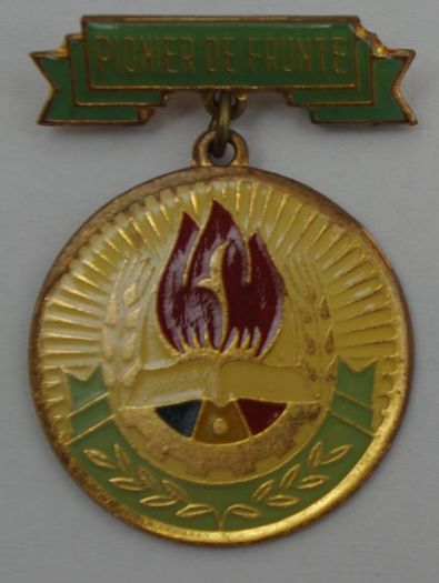insigna de pionier