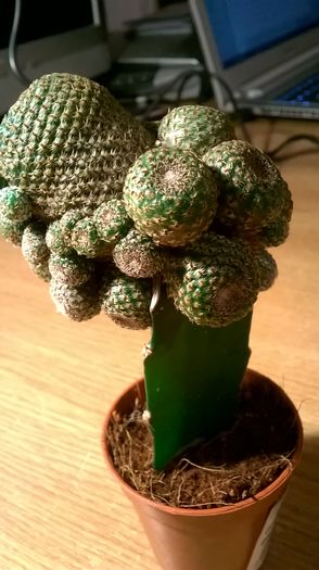 WP_20160131_23_14_43_Pro