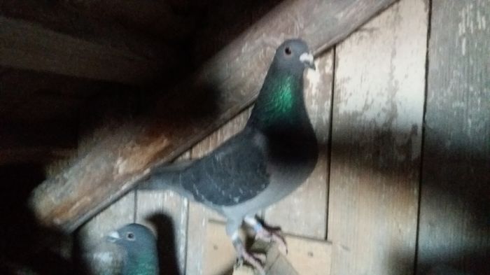 20160108_160523 - lot zbor