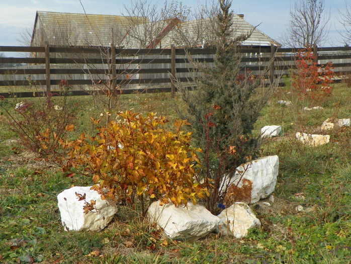 101_9596 - z-Dobarland 2015