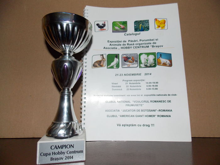 96,5 PC CAMPION FEMELA