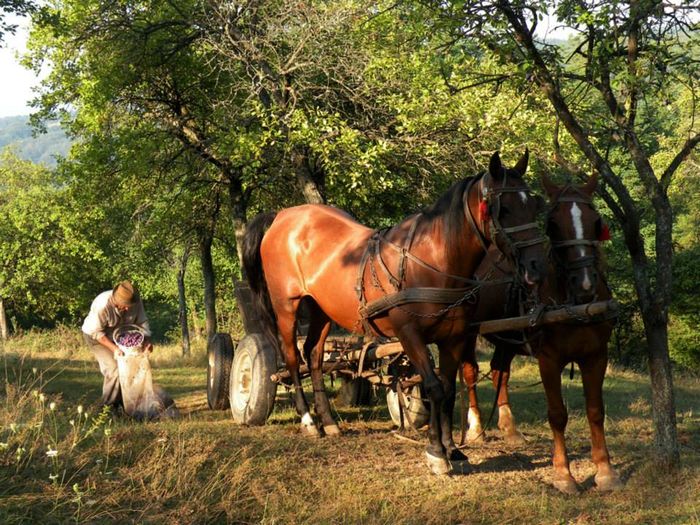  - Amintiri dinainte de 1989-2