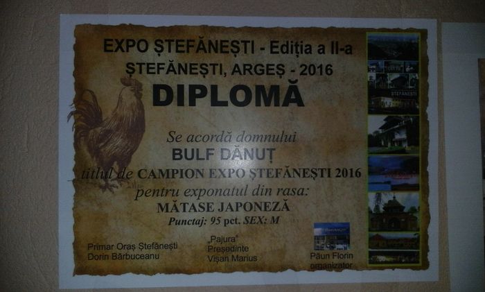 EXPO STEFANESTI