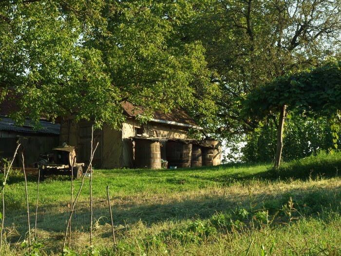  - Amintiri dinainte de 1989-2