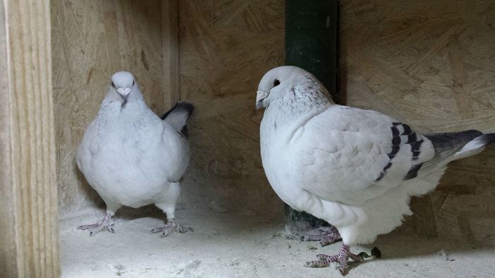 M-2014-617&F-2015-4384