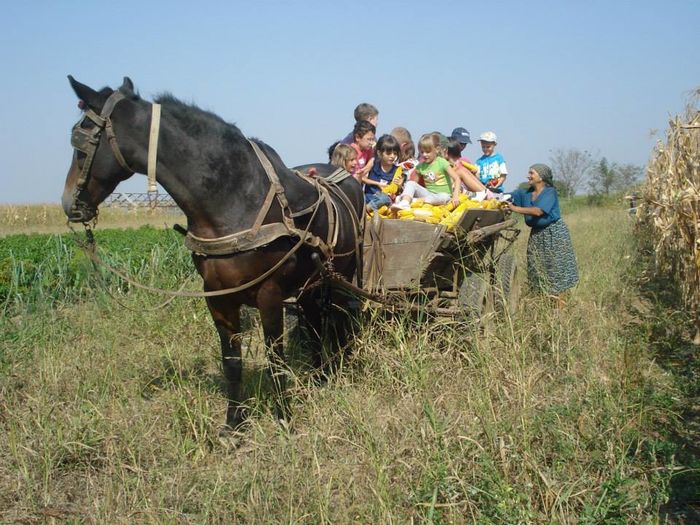  - Amintiri dinainte de 1989-2