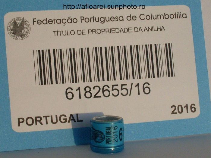 portugal 2016 - PORTUGALIA-PORTUGAL