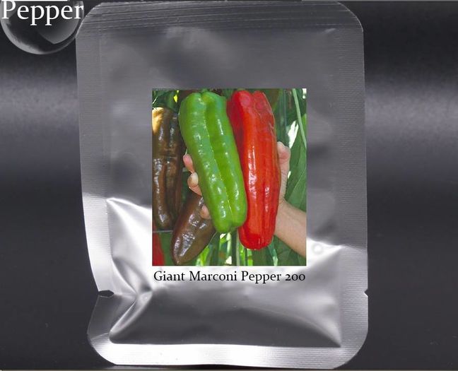 Pepper Giant Marconi
