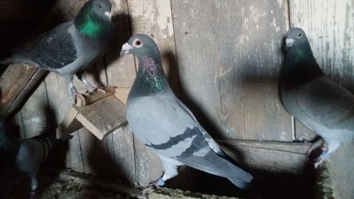 20160108_160518 - lot zbor