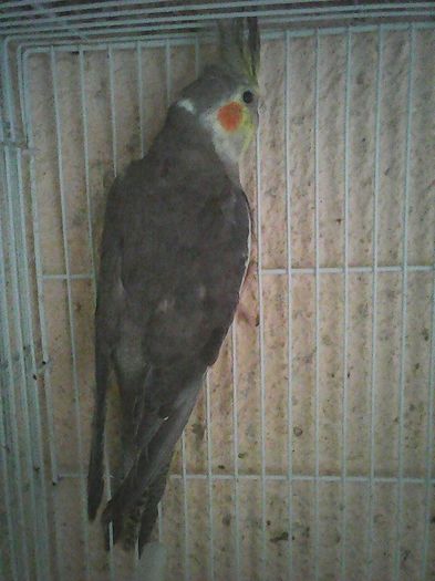 12669682_1112011248843537_3786304446541490949_n