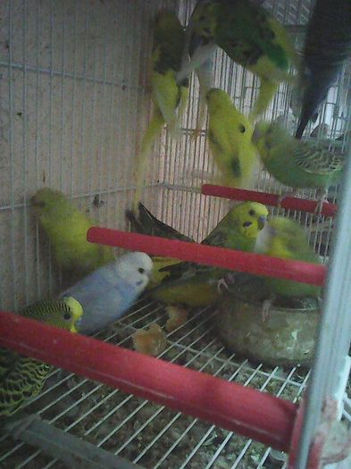 12670131_1112011258843536_7844975333283850526_n