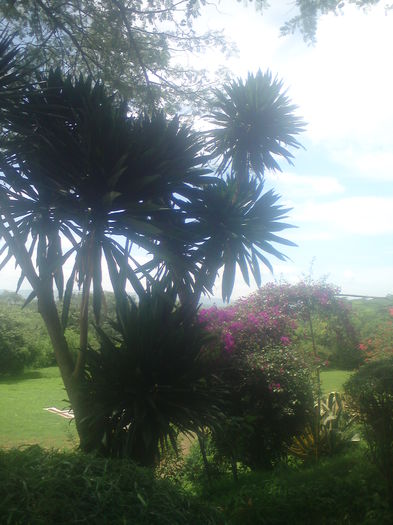 DSC02264 - Mbeya 2
