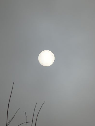 DSC01719 - 1 Soarele si luna
