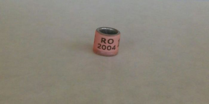 RO 2004
