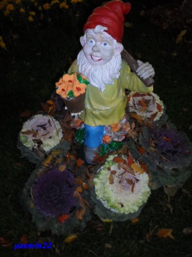 30 oct. 2015 132 - Crizantema Lahr